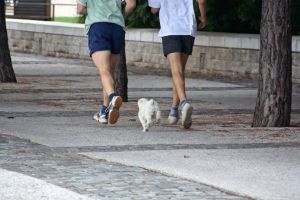 [20060928-jogging_with_dog[1].jpg]